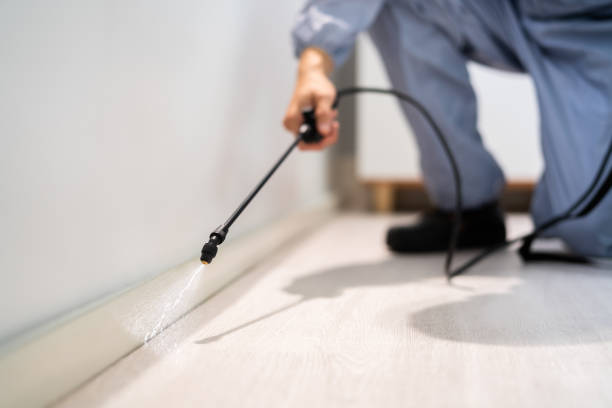 Rodent Entry Point Assessment in Santa Rosa