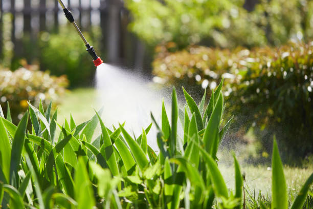 Tamper-Resistant Bait Stations for Rodents in Santa Rosa