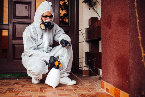 Attic and Crawl Space Rodent Treatment in Santa Rosa